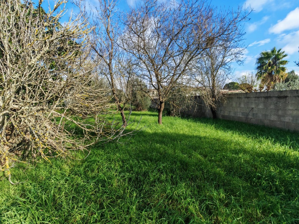 Giano Group Immobiliare